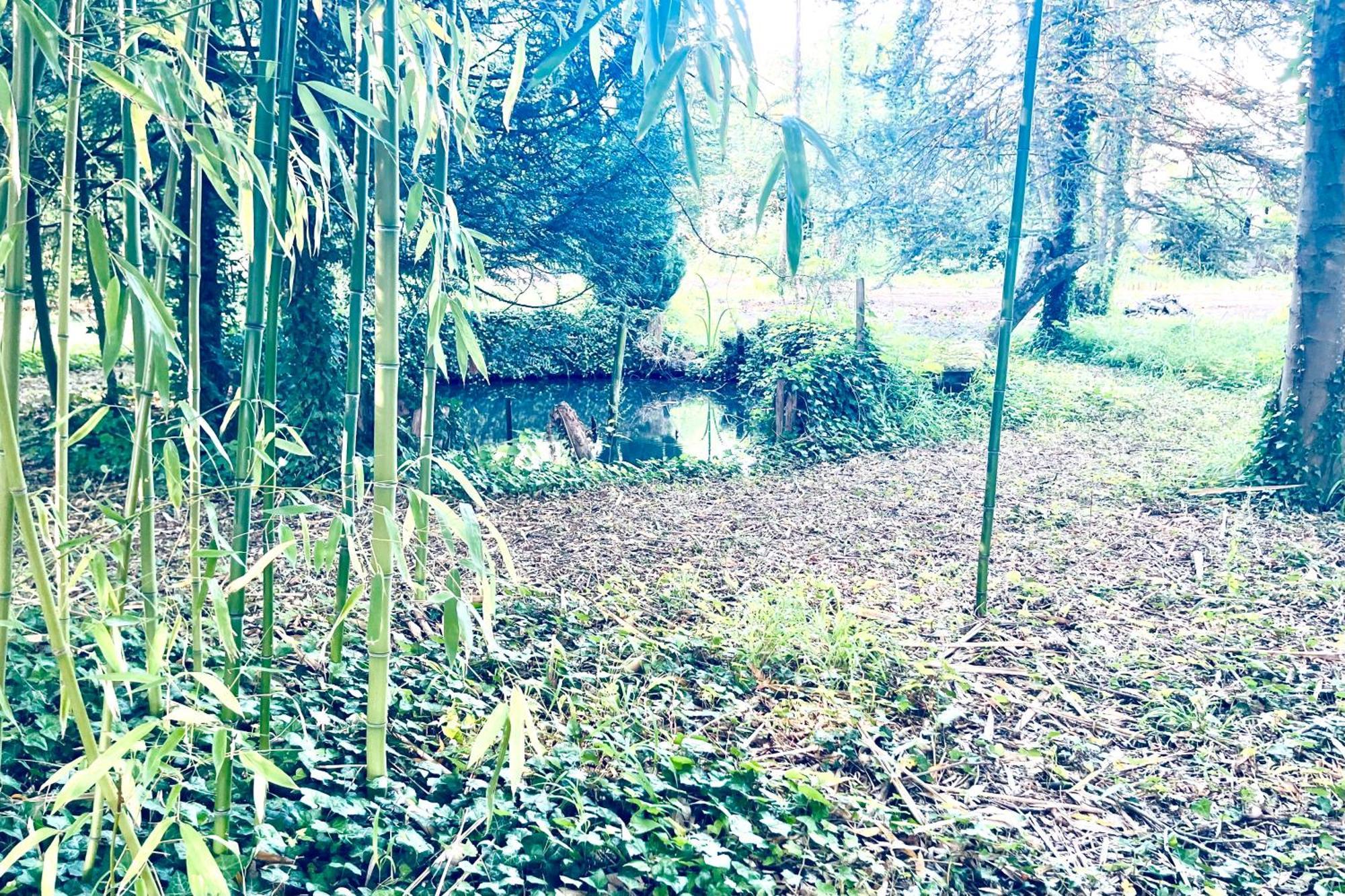 Villa Edouard - 180M2 In Nature & Forest - 20Min Disney - 7Min Airport 克莱索里 外观 照片