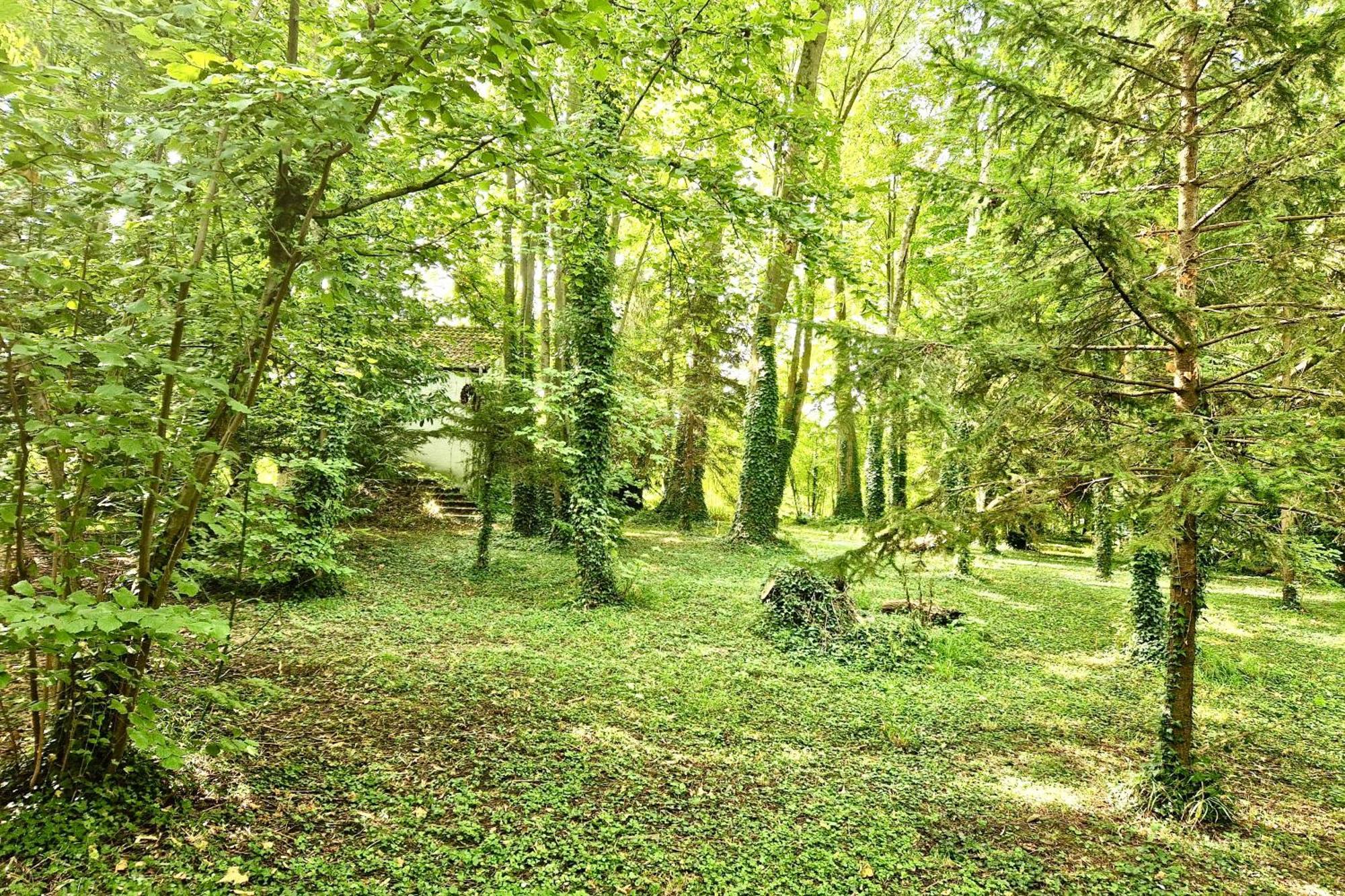 Villa Edouard - 180M2 In Nature & Forest - 20Min Disney - 7Min Airport 克莱索里 外观 照片